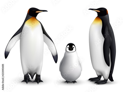 Penguin Realistic Set 
