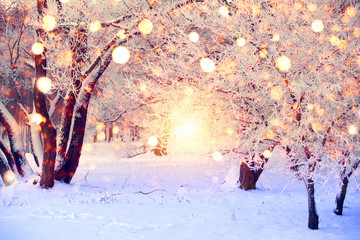 Christmas wonderland