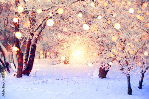 Christmas wonderland © alexugalek