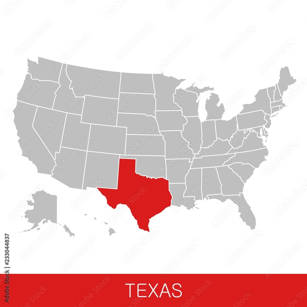 United States of America with the State of Texas selected. Map of the USA vector illustration