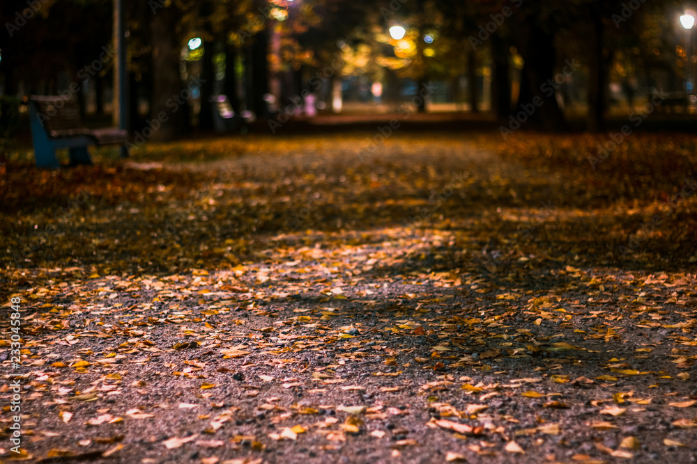 Yellow leaves fallen on the ground of a public park’s path. Alley distance in blur