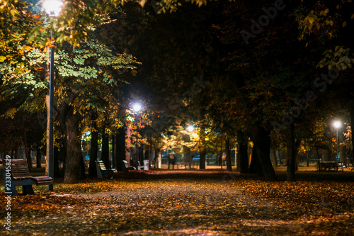 Defocused park alley at night with bench illuminated by street lamps from both sides of the path