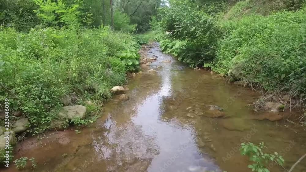 Drone Flying Low Over A Small River Forest Drone Flying Low Over A Small River Forest