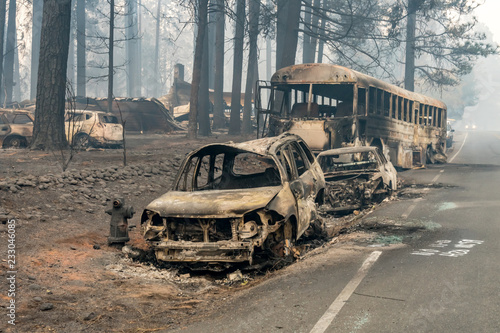 Destruction in Paradise, California Wildfire  photo
