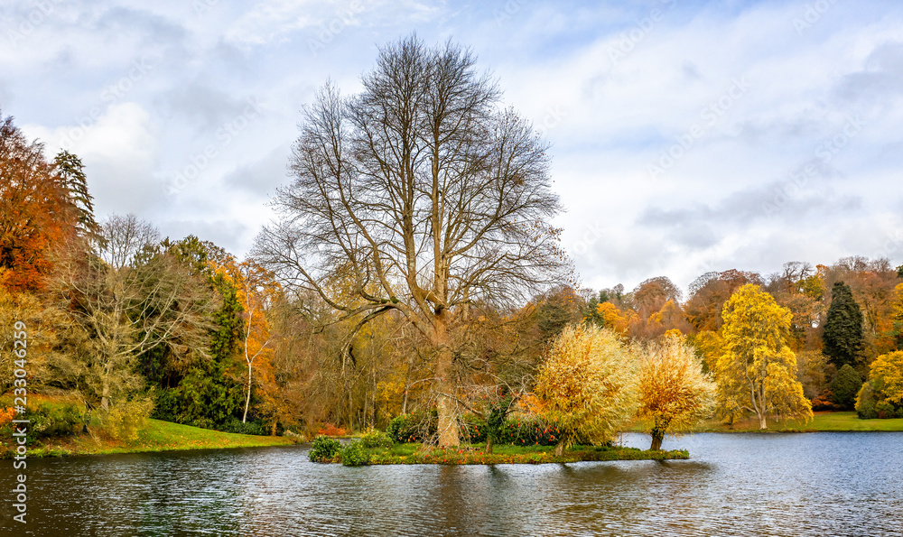 beautiful autumn tree scape with leaves of gold, brown, yellow and orange