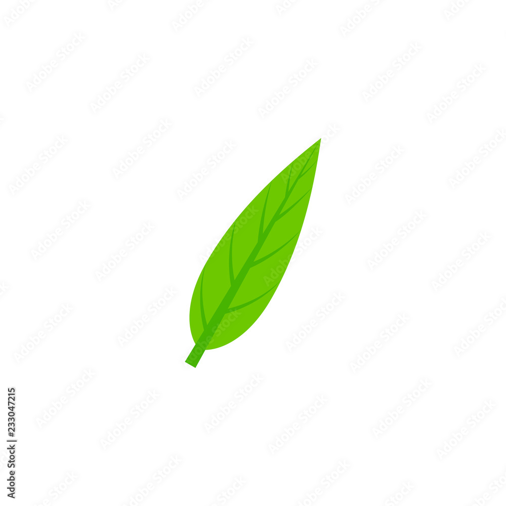 lanceolate maple leaf flat icon lanceolate maple leaf flat icon