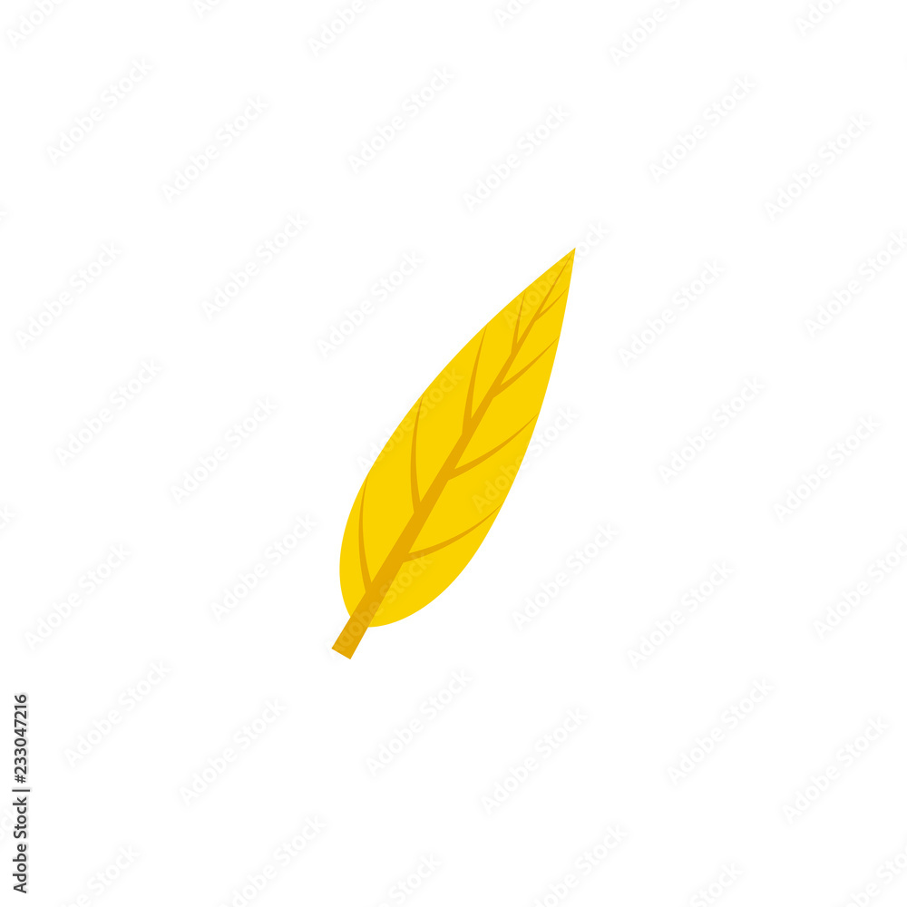 lanceolate maple leaf flat icon lanceolate maple leaf flat icon