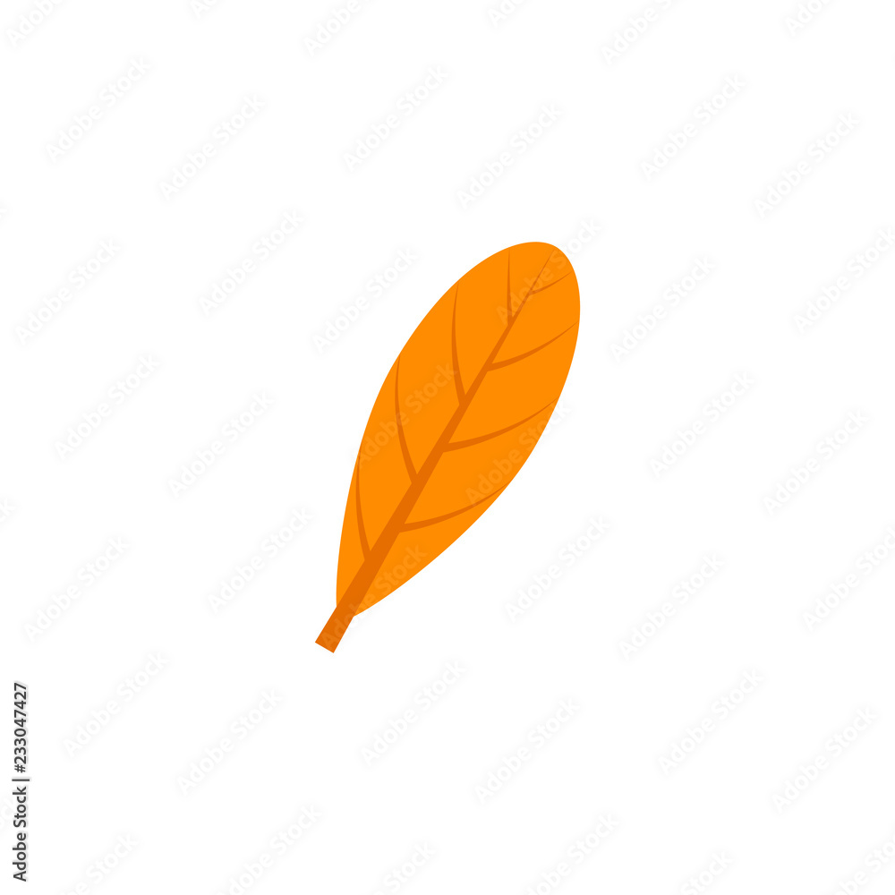 oblanceolate maple leaf flat icon oblanceolate maple leaf flat icon