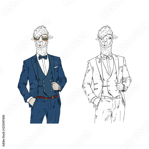 Cool Llama man dressed up in classy style..