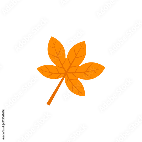 palmatifid maple leaf flat icon