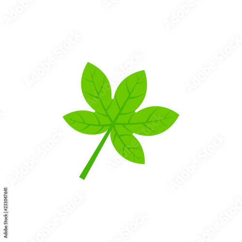 palmatifid maple leaf flat icon