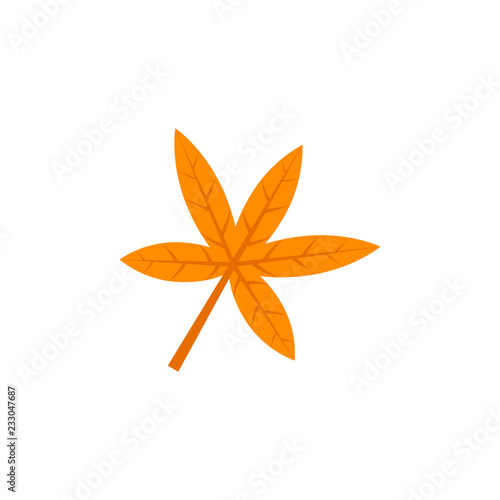 palmatisect maple leaf flat icon