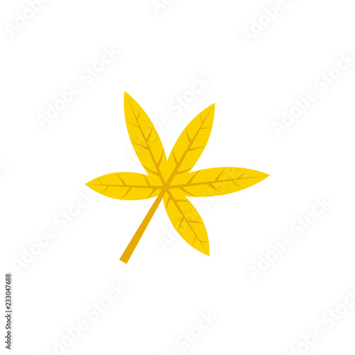 palmatisect maple leaf flat icon
