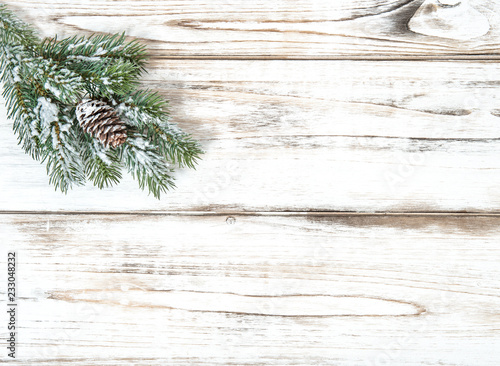 Christmas tree branch bright wooden background