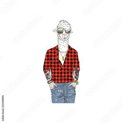 Llama man hipster dressed up in red plaid shirt and jeans.