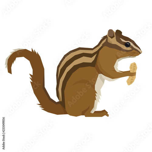 Forest Wildlife Vector animals Geometric style Chipmunk with peanut