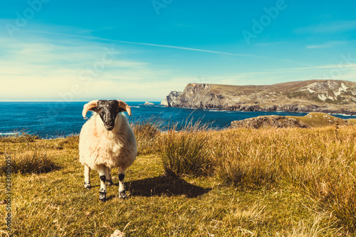 Beautiful Irish Wild Atlantic Way. Photo taken in Co Donegal. Ireland