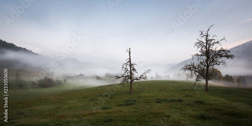 neblige Herbstlandschaft im Schwarzwald photo