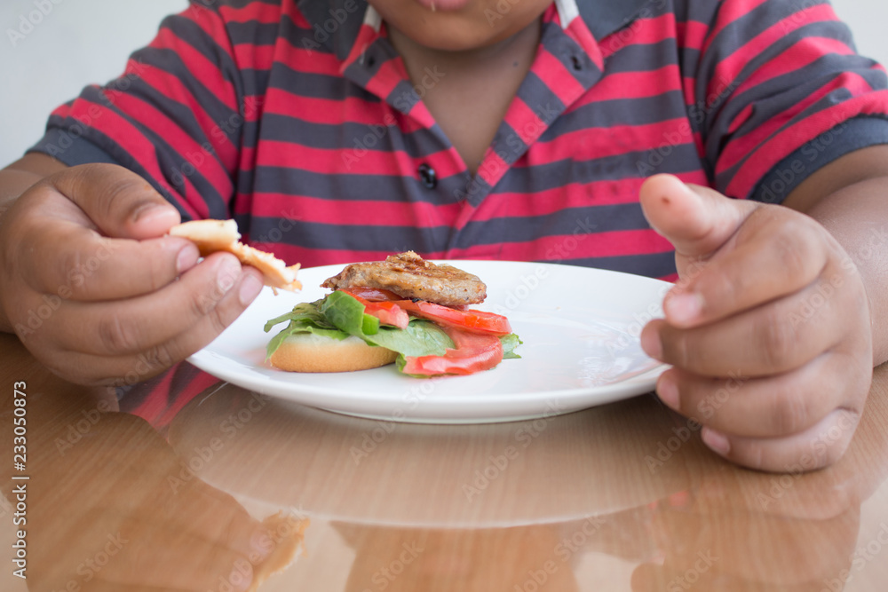 Asian boy's eating a hamburger, junk food unhealthy for children Asian boy's eating a hamburger, junk food unhealthy for children