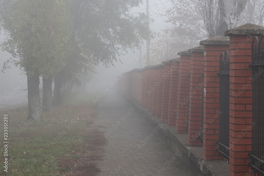 Fog and road