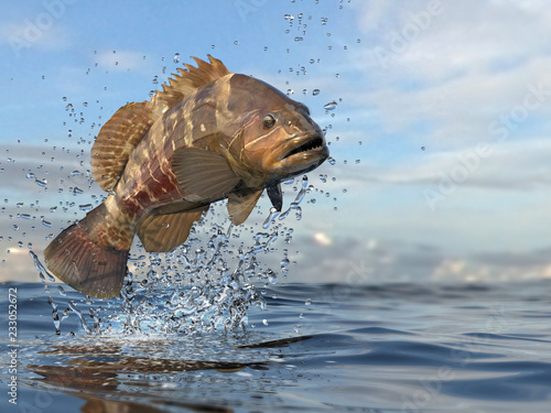 White grouper fish catched in the air between waves and splashes beatiful colors 3d render photo