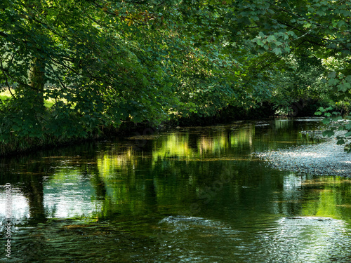 Trees overhanging stream in Lake District with reflections and ripples in water