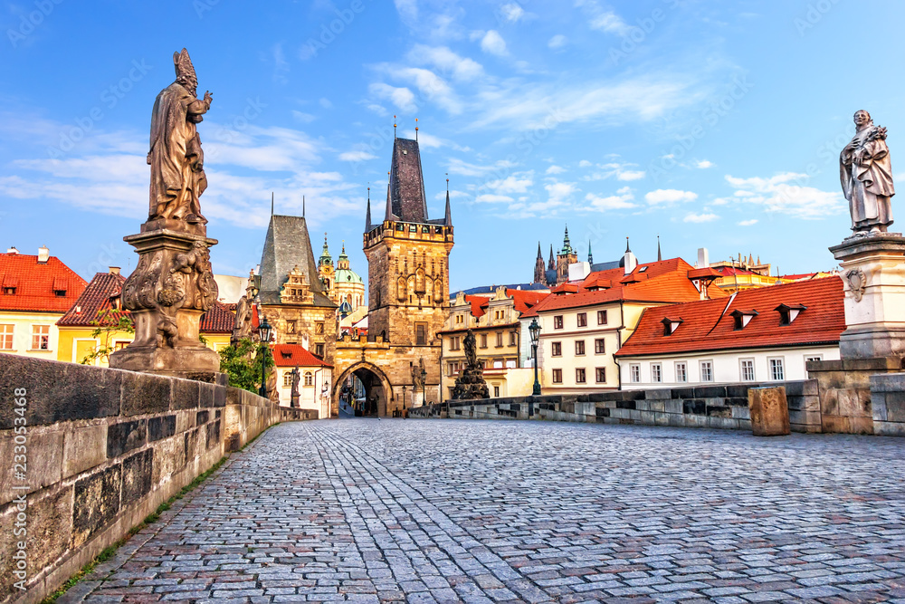 Naklejka premium Famous Charles Bridge over the Vltava river in Prague, Czech Rep