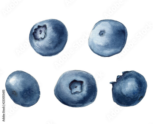Realistic watercolor illustration of blueberries. Hand-drawn illustration.