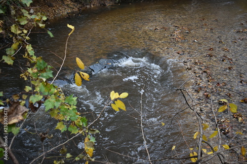 Water on the banks