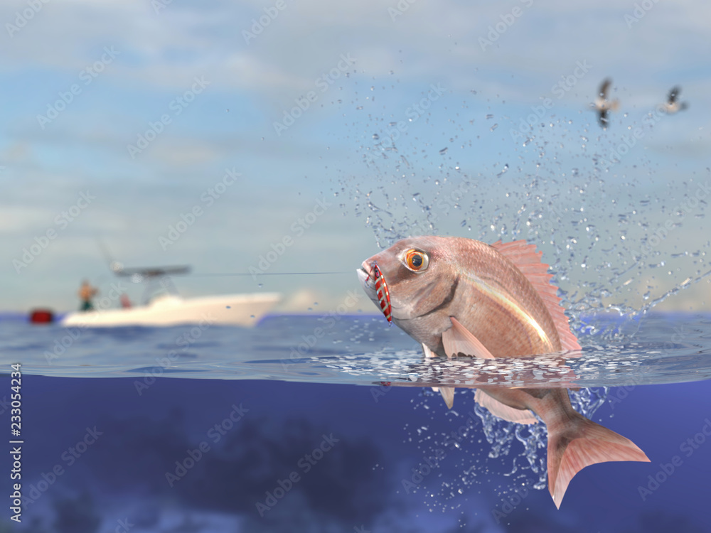 Cathing red porgy snapper, fisherman in sport fishing boat holding