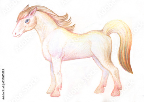 Pencil drawing. Illustration for children. Image of animals with colored  pencils. White young horse, beautiful and graceful. Stock Illustration |  Adobe Stock