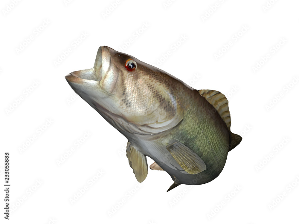 Largemouth bass fish with curved pose 3d illustration Stock-Foto ...
