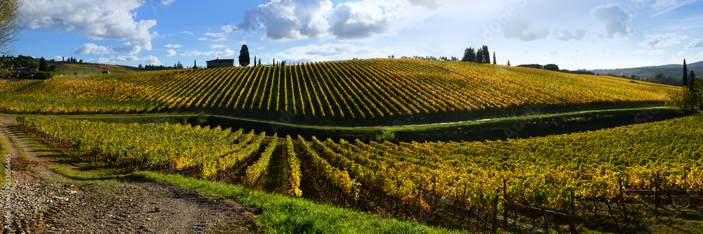 Beautiful landscape with Tuscany yellow vineyards and blue cloudy sky during autumn season in Chianti region near Florence, Italy.