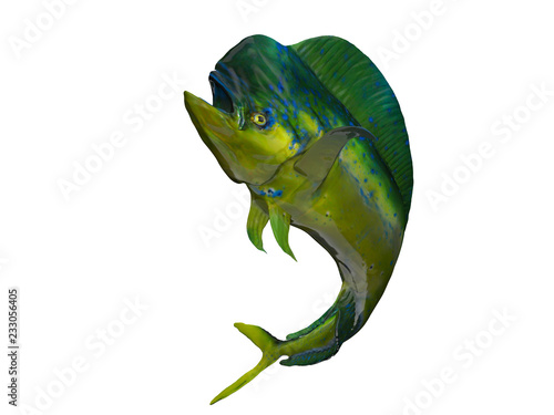 Mahimahi dolphinfish posing curved body 3d render isolated background photo