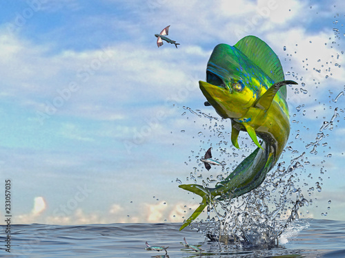 Mahi mahi dorado fish  jumping to catch flying fished in ocean 3d render