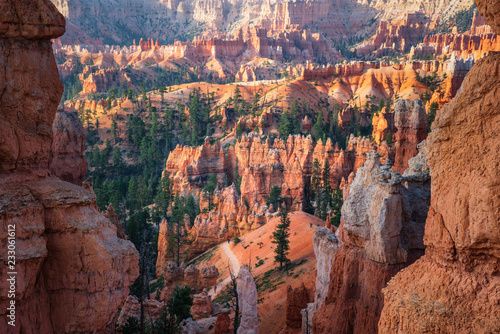 Early Morning view of the Navajo Loop Trail from the Bryce Canyon rim