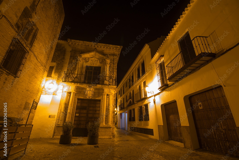 Night scape in Carmona Sevilla province Andalusia Spain