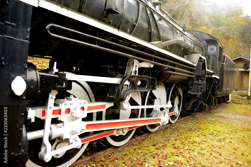 Obraz premium SL公園