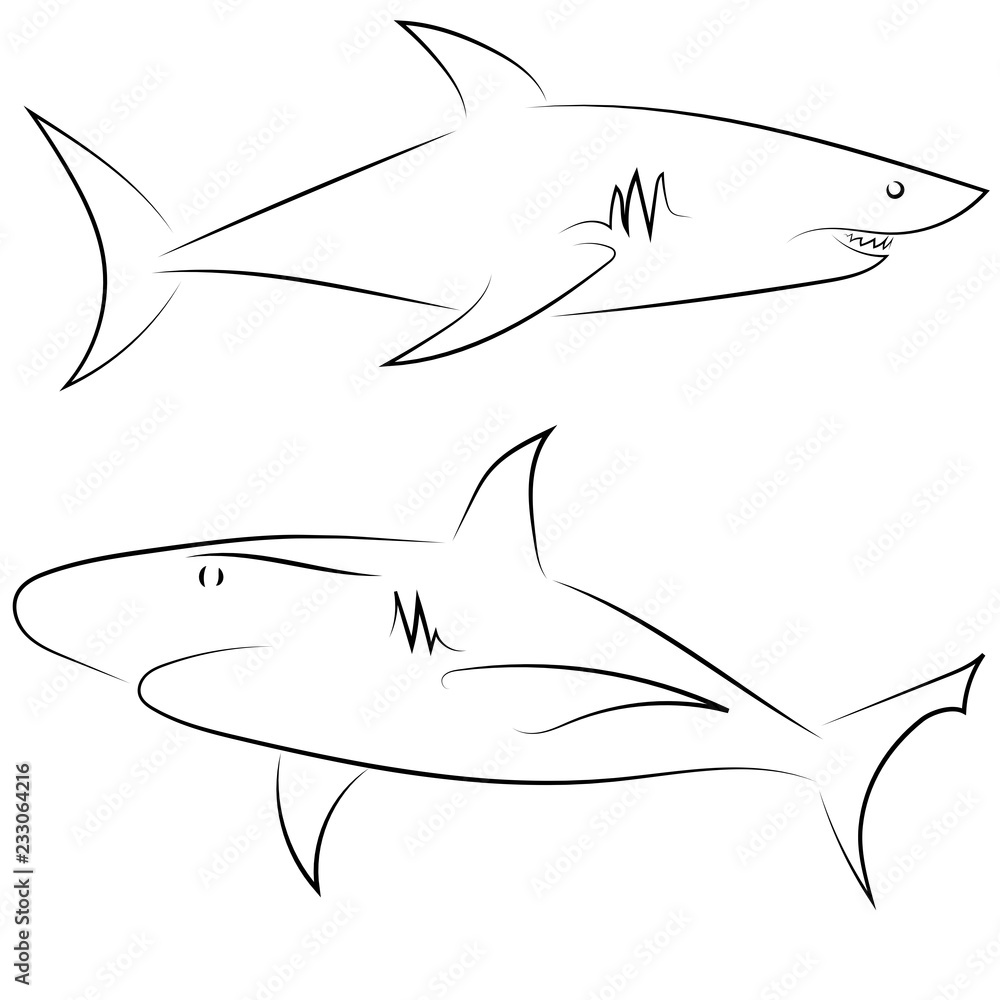 Fototapeta premium Black line sharks on white background. Hand drawn linear sketch. Vector graphic fishes. Animal illustration. Sketch style.