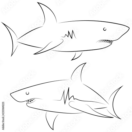 Black line sharks on white background. Hand drawn linear sketch. Vector graphic fishes. Animal illustration. Sketch style.
