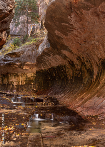 The water of Left Fork in Zion national park fills one pool and then spills over to the next in the slot canyon called The Subway.