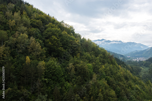 Landscape of forest and mountains from top