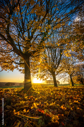 Seasons