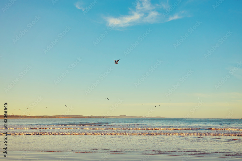 Naklejka premium stunning beach on the Atlantic ocean