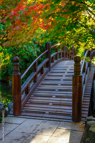 Vászonkép Beautiful japanese garden with bridge in autumn time