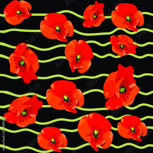 Seamless pattern with red poppy flowers vector eps 10