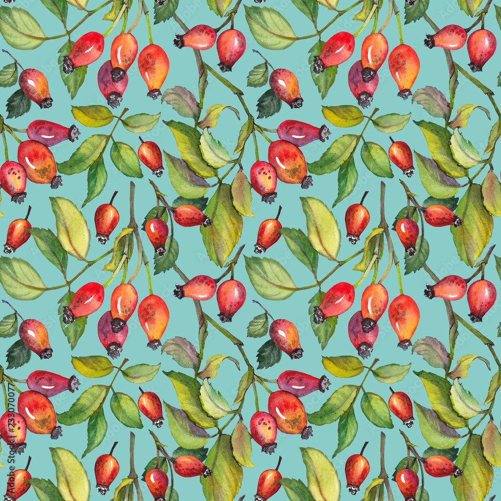 Seamless pattern with red rosehips berries and green leaves. Watercolor illustration on blue green background. Seamless pattern with red rosehips berries and green leaves. Watercolor illustration on blue green background.