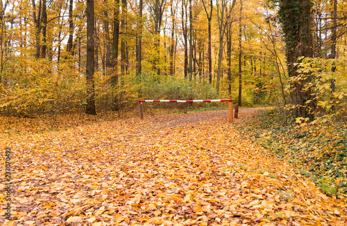 Altenburg / Germany: Autumnal leaves on a forest path with closed wooden barrier gate in the urban forest in November