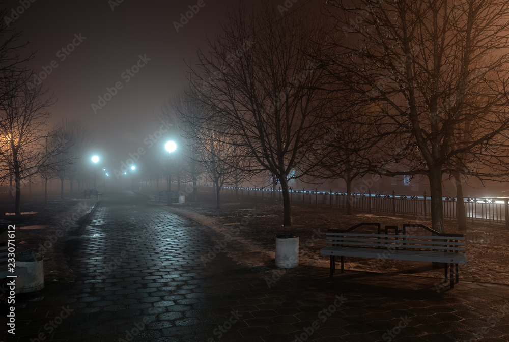 lanterns trees and benches in fog at night in park lanterns trees and benches in fog at night in park