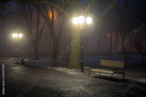 lanterns trees and benches in fog at night in park